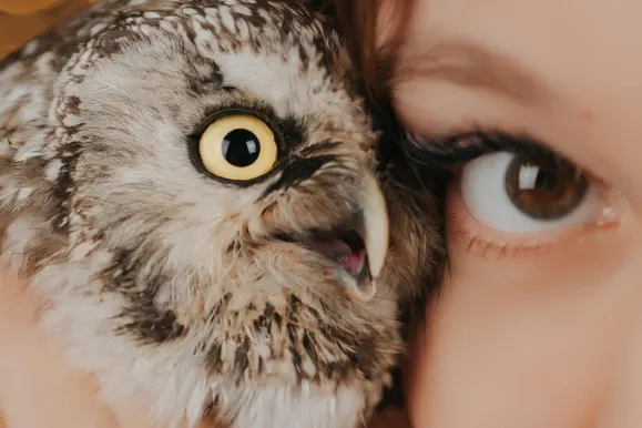 Kazino AllStar Slots Atbalsts